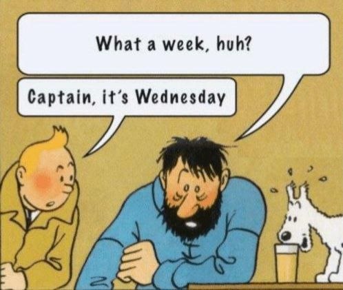 what a week.jpg